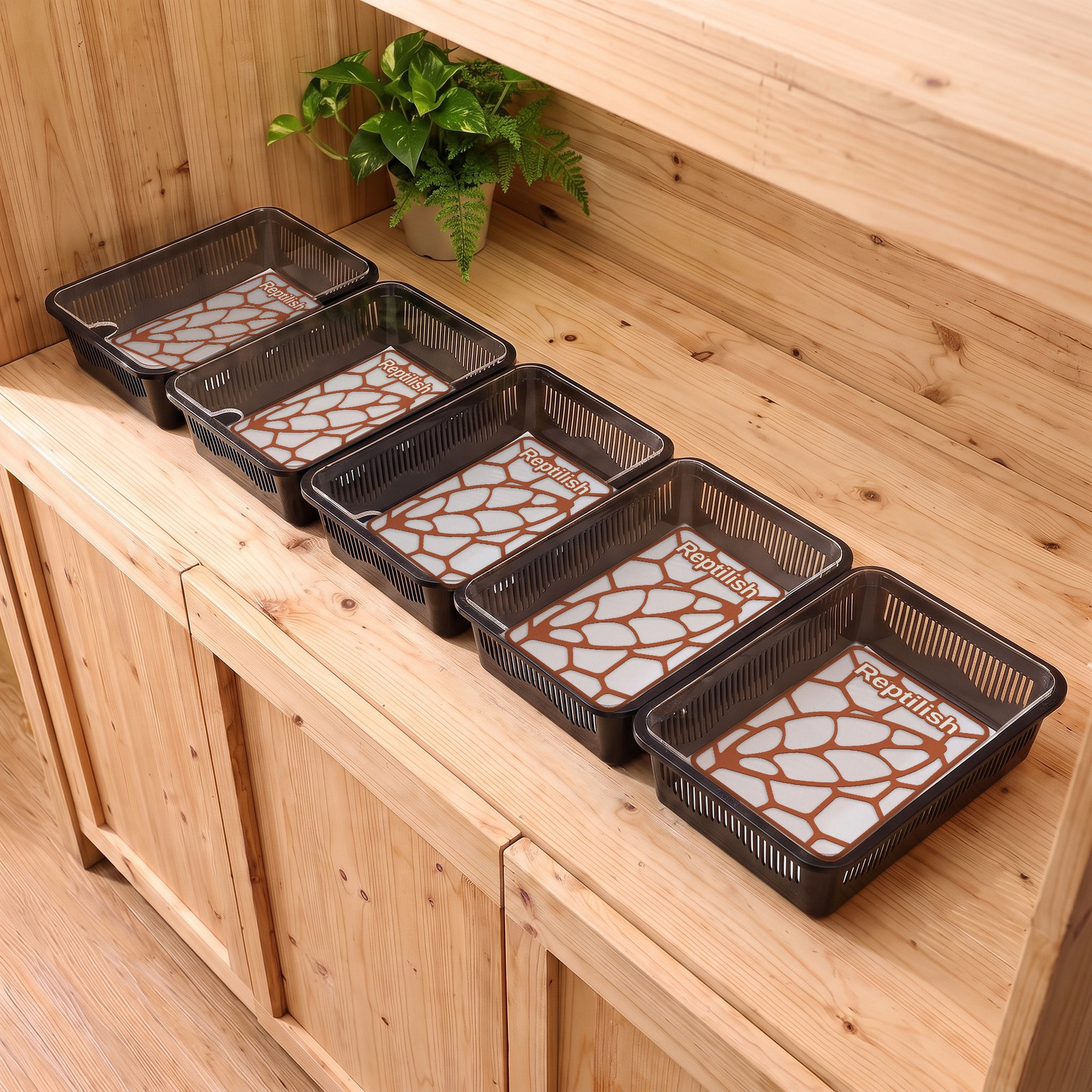 Fünf schwarze Faunaboxen auf einem Holzregal im Laden, darin Pebble Plates in Terracotta