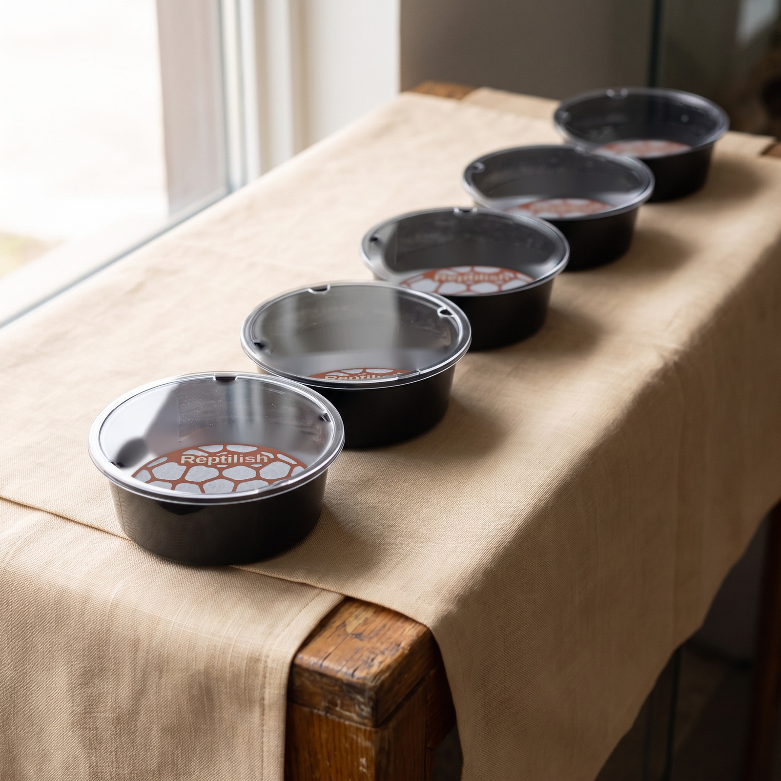 Aufzuchtdosen mit Acryldeckeln auf einer Ladentheke, davor Pebble Plates in Terracotta